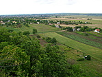 Panoráma