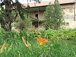 A sűrűben
