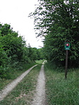 Határ
