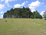 GCNEKE