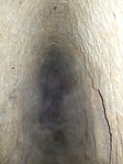 KÖD