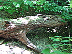 Rejtek