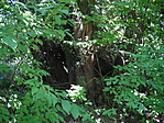 Fa2