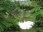 Ablak a horgásztóra