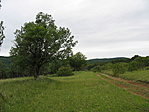 "kékút"