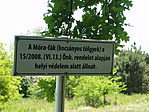 az eredetit nem védték?! :-(((