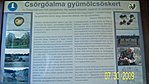 csörög az alma?
