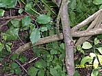 Rejtek