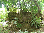A rejtek