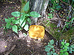A láda tető
