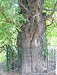 eperfa