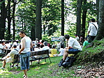 koncert