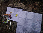 a "láda" tartalma elázva