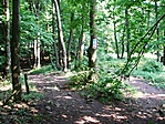 Úton a "rendes" cache felé