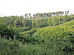 Kilátás a völgyre