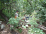 Gcabra 002.