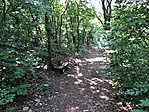 Budapest - Talpalatnyi zöld 02
