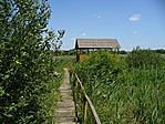 A kilátó