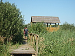A házikó áll
