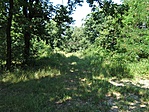 környezet