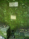 A forrás