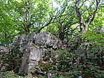 Tanösvény 3
