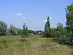 Farmosi idill