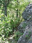 Hűlt hely