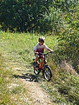Matyi