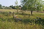 padok