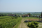 Mörbisch felső út