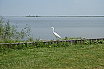 fertőrákosi srtandon