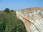 Náddal benőve
