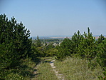 kilátás