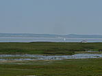 Fertő-tó