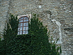 ablaktörténelem