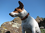 Peggy is elmerengett az élet értelmén