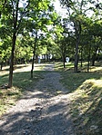 Kellemes a szemnek