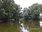 Békabirodalom