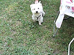 Charlie