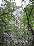 Szirt