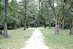 Padkő