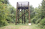 Kilátó
