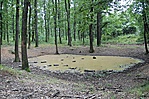 Strand az erdeieknek