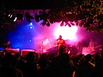 VF