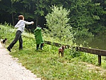 Kőhalyigálás