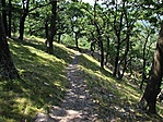 Gímes - Gesztenyés 02