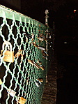 GCLOCK utánzás