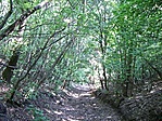 hazafelé