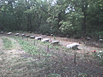 fácántelep